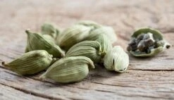 Cardamom (Elettaria Cardamomum) -Plant Seed Store 0155d9 9e05baa1e29e47c8b271b41c9f80929b mv2 d 2800 1608 s 2
