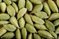 Cardamom (Elettaria Cardamomum) -Plant Seed Store 0155d9 bd2e6558ee5a48caa276691abb5c3ead mv2 d 2800 1863 s 2