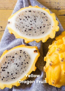 Dragon Fruit Bundle: 'Edgar's Baby' Dragon Fruit & Sweet Yellow Dragon Fruit -Plant Seed Store 1 8
