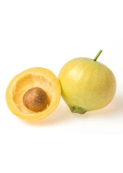 Rose Apple (Syzygium Jambos) -Plant Seed Store 2