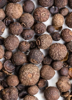 Allspice (Pimenta Dioica) -Plant Seed Store Allspice plants for sale SowExotic.com