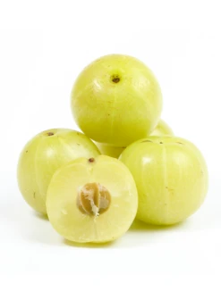 Plant Seed Store -Plant Seed Store Amla IndianGooseberry Phyllanthusemblica LiveFruitTreeForSaleSowExotic