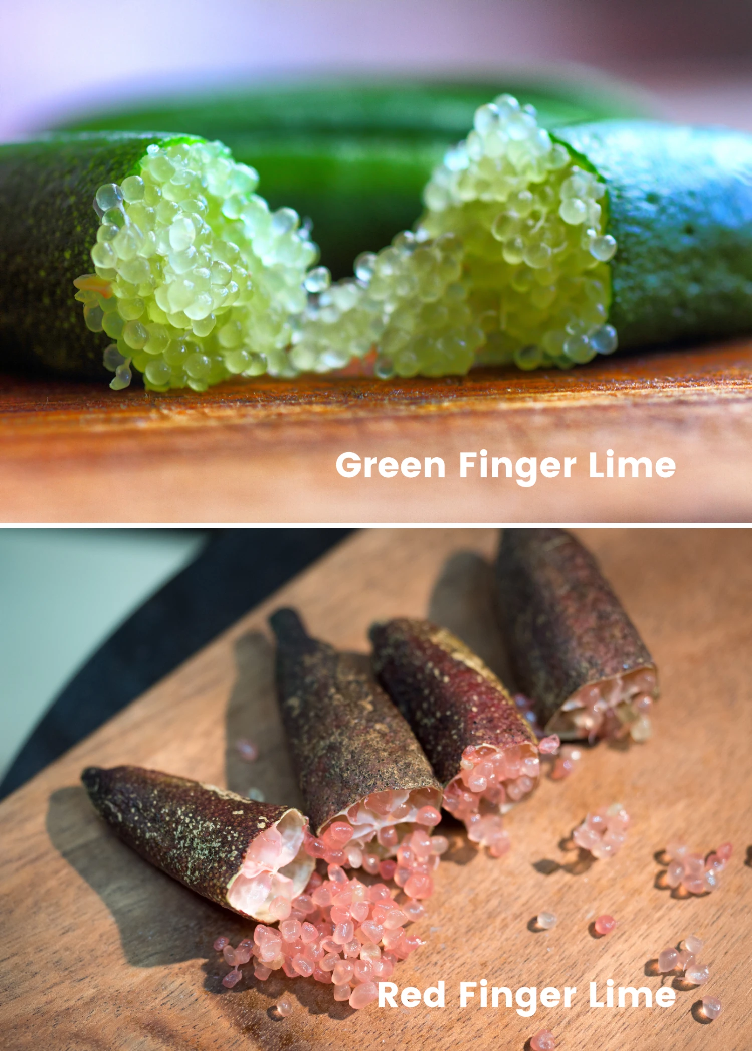 Rare Citrus Bundle: Green Finger Lime & Red Finger Lime 1 Rare Citrus Bundle: Green Finger Lime & Red Finger Lime