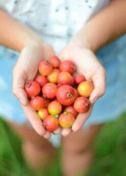 Plant Seed Store -Plant Seed Store DSC 3722
