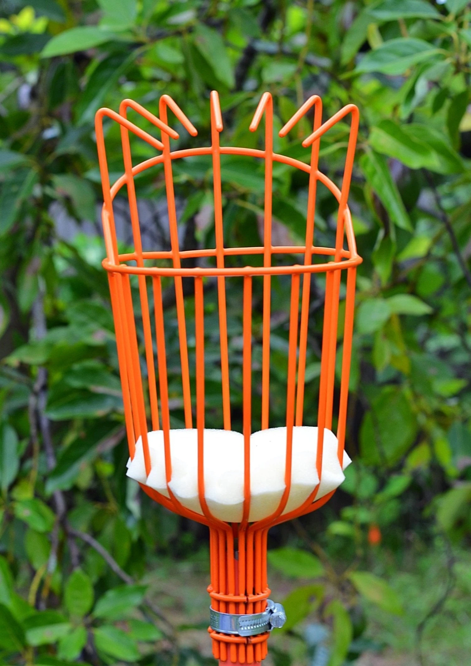 Fruit Picker 2 Fruit Picker - Image 2