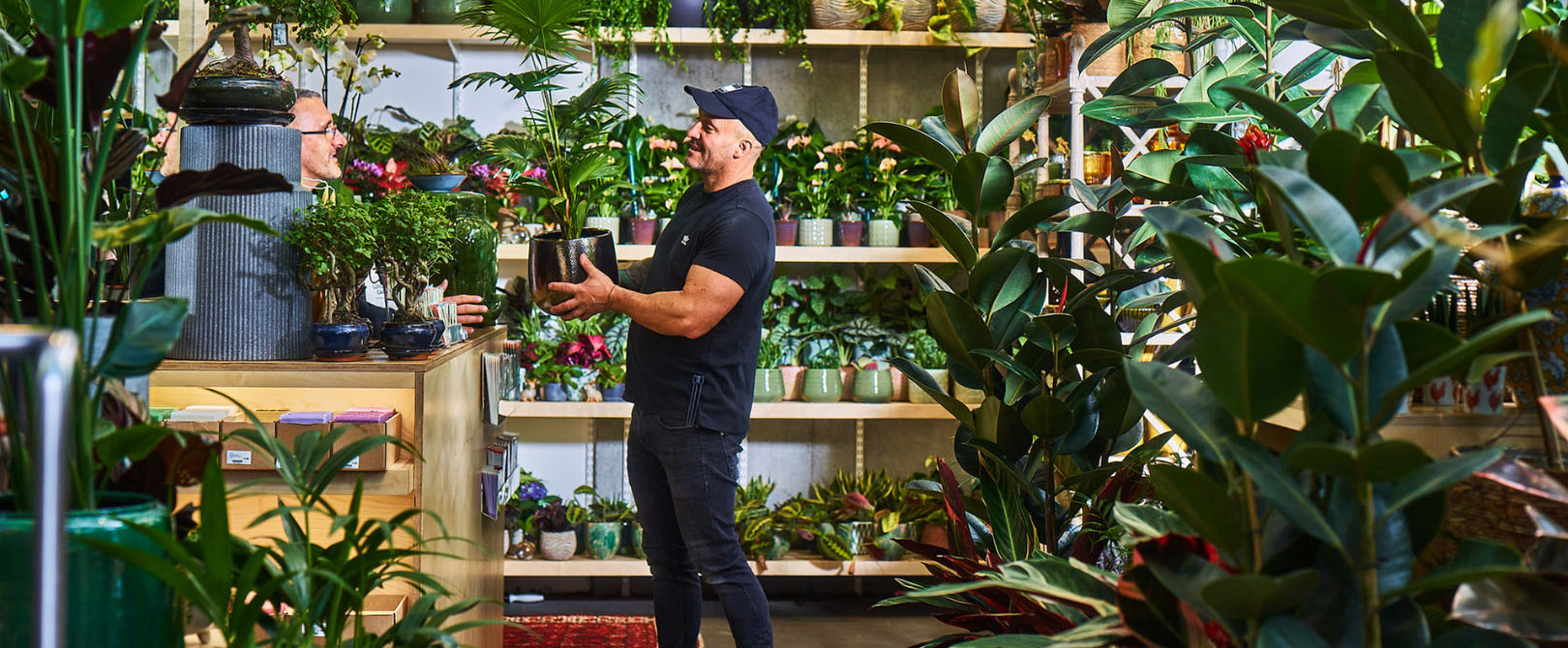 Plant Seed Store -Plant Seed Store FGHD