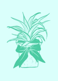 Digital Gift Card 13 Digital Gift Card -Plant Seed Store GiftCardGraphics 1 bf6ca498 460b 41fd bd4a 707ed9e06a12