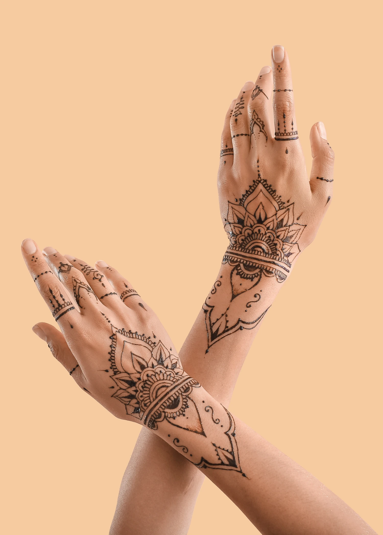 Henna (Lawsonia Inermis) 4 Henna (Lawsonia Inermis) - Image 4