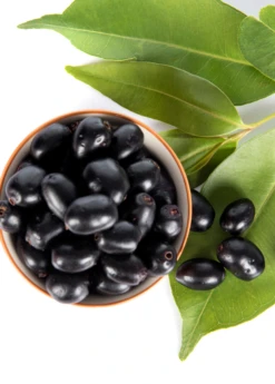 Jamun (Syzygium Cumini) -Plant Seed Store JamunTreesforsale SowExotic.com 1