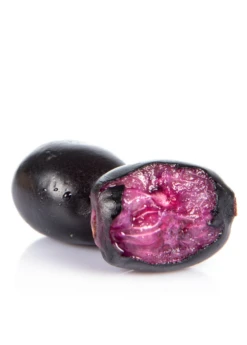 Jamun (Syzygium Cumini) -Plant Seed Store JamunTreesforsale SowExotic.com 3