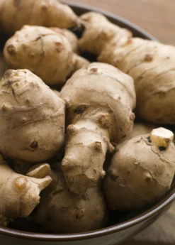 Jerusalem Artichoke (Helianthus Tubersosus) -Plant Seed Store Jerusalemartichokeplantforsalesowexoticnursery 1