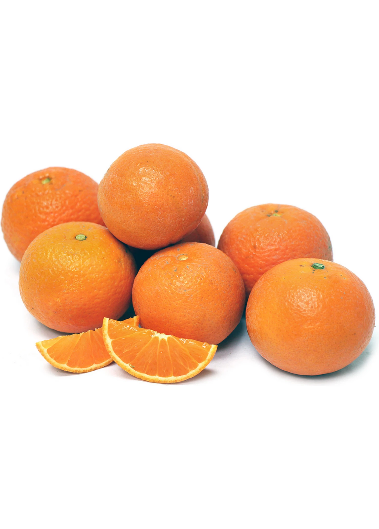 Page Mandarin (Citrus Reticulata 'Page') 1 Page Mandarin (Citrus Reticulata 'Page')