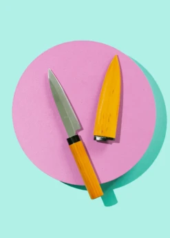 Suncraft Fruit Pairing Knife