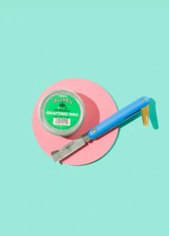 Folding Budding And Grafting Knife 6 Folding Budding And Grafting Knife -Plant Seed Store Sow Exotic Plant Nursery garden tools grafting wax knife 40447d4d 7c8e 4763 b6d2 984df03d1999