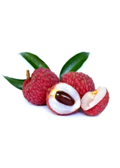 Lychee 'Sweetheart' (Litchi Chinensis) -Plant Seed Store SweetheartLycheesowexoticplantNursery 3