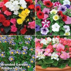 Nurseryman’s Choice Summer Favourites -Plant Seed Store TM 4image nurseryman without watermark