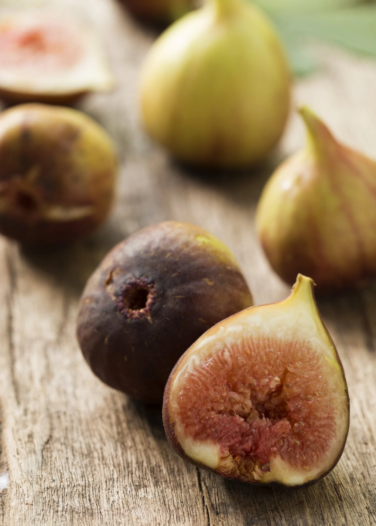 Fig 'Brown Turkey' (Ficus Carica) 1 Fig 'Brown Turkey' (Ficus Carica)