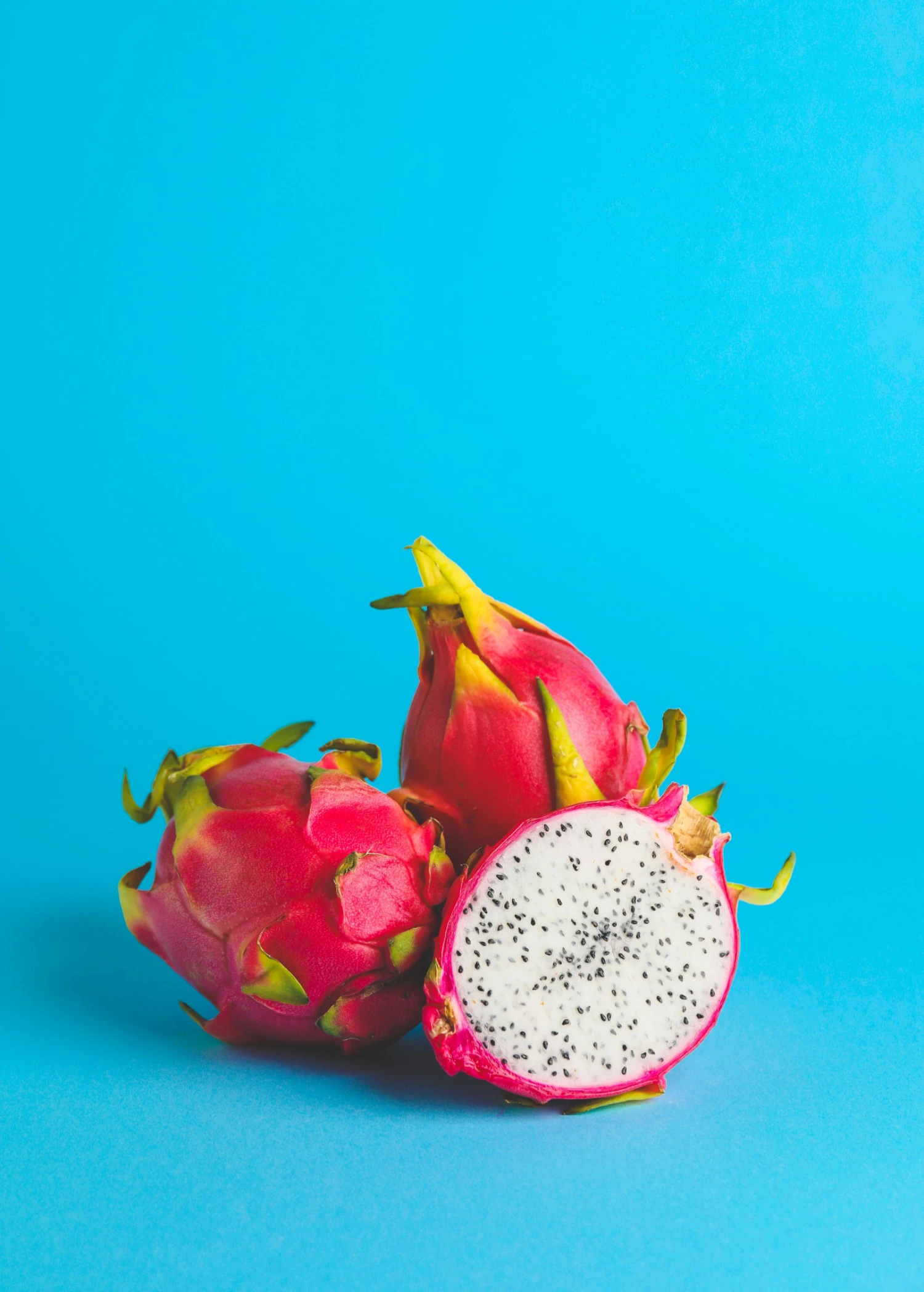 Dragon Fruit, White 'Vietnamese Jaina' (Hylocereus Undatus) 4 Dragon Fruit, White 'Vietnamese Jaina' (Hylocereus Undatus) - Image 4