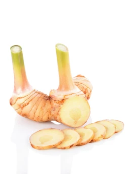 Greater Galangal (Alpinia Galanga) 6 Greater Galangal (Alpinia Galanga) -Plant Seed Store galangal root cut