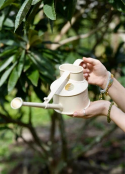 Haws Handy Watering Can -Plant Seed Store image 1704584b 3f2c 4eb4 8be3 abe6f2aad97a