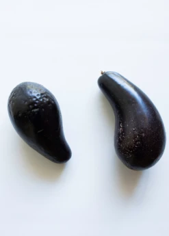 Plant Seed Store -Plant Seed Store mexicolaavocadosowexotic 1