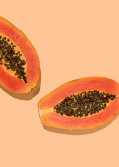 Papaya, 'Dwarf Red Lady' (Carica Papaya) -Plant Seed Store sowexoticpapaya 1