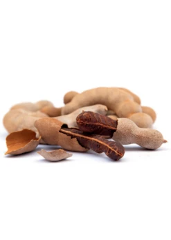 Tamarind (Tamarindus Indica) -Plant Seed Store sweetthaitamarindsowexotic