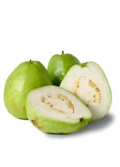 Guava, Thai White (Psidium Guajava)
